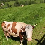 Góralskie Na Podhalu - Z Jacuzzi Alojamento de Turismo Selvagem *
