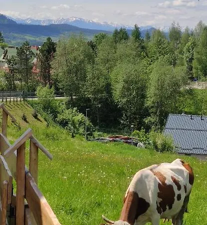 Lodge Goralskie Na Podhalu Z Jacuzzi
