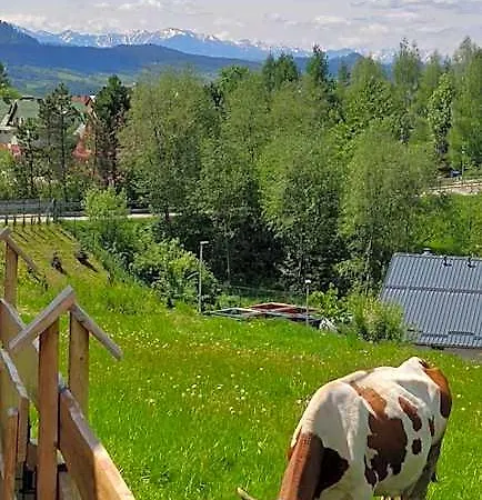 Деревянный коттедж Goralskie Na Podhalu Z Jacuzzi